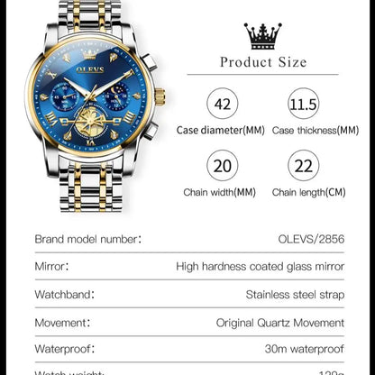 Men's Skeleton Quartz Watch Chronograph Moon Phase