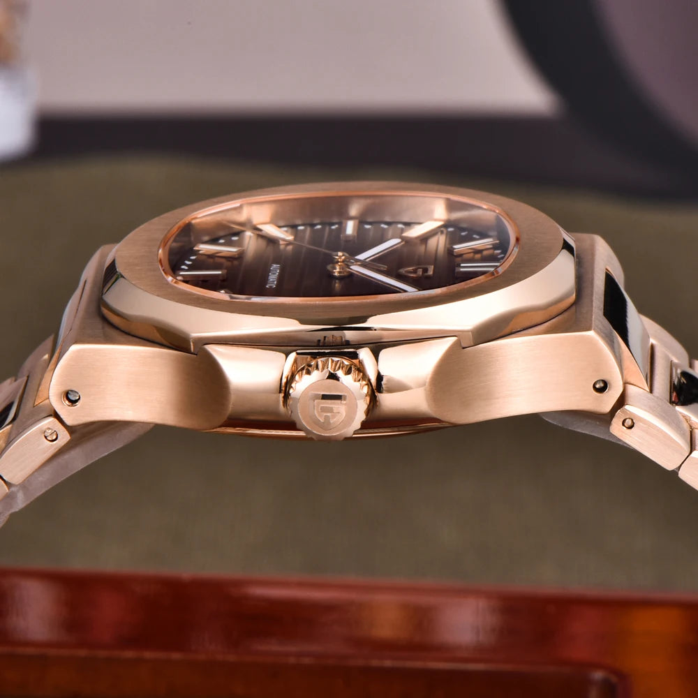 Men’s Luxury Mechanical Watch Stainless Steel Sapphire